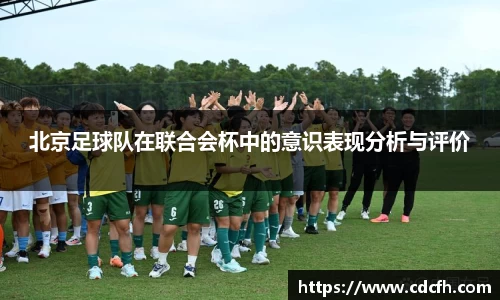 北京足球队在联合会杯中的意识表现分析与评价