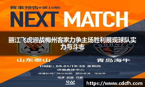 丽江飞虎迎战梅州客家力争主场胜利展现球队实力与斗志