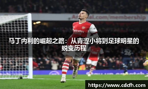 马丁内利的崛起之路：从青涩小将到足球明星的蜕变历程